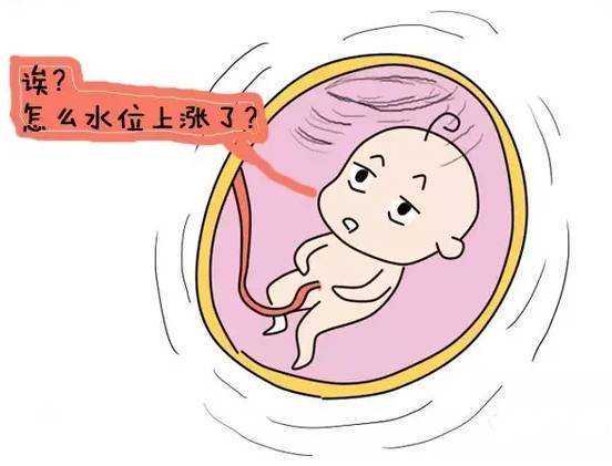 香港资深试管婴儿医院解析：费用与成功率一览