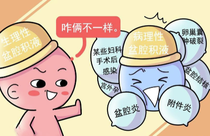 中国女人可以到美国精子库买精子怀孕生混血宝宝吗(美国精子库可以寄到香港吗)