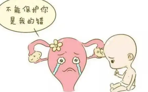 单身女性香港试管婴儿(单身女可以到香港做试管婴儿吗)